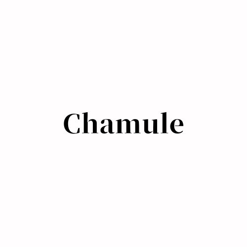 小西アナコレクション – Chamule